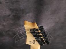 Ibanez RGV250_16