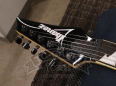 Ibanez RGV250_17