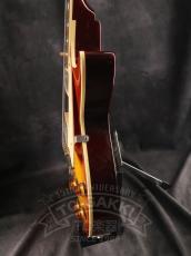 Tokai LS136F_9