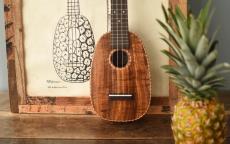 Craft Musica Soprano Pineapple "CLASSIC STANDARD"