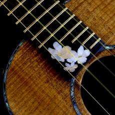 Ko'olau Tenor CS-O Model “Sakura" Master Grade Koa_9