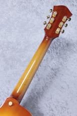 Rozeo 【秋の中古楽器祭り】Ladybug SM-TBC  【2020'sUSED】【国産ギター】_6