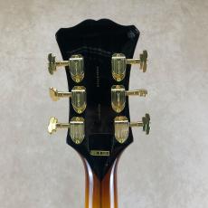 D'Angelico Excel Style B, Dark Iced Tea Burst_5
