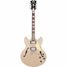 D'Angelico Premier DC XT