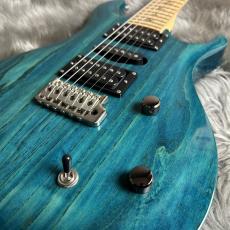 Paul Reed Smith [PRS] SE Swanp Ash Special - Iri Blue【現物画像】_3