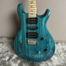 Paul Reed Smith [PRS] SE Swanp Ash Special - Iri Blue【現物画像】_4
