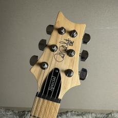 Paul Reed Smith [PRS] SE Swanp Ash Special - Iri Blue【現物画像】_8