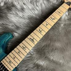 Paul Reed Smith [PRS] SE Swanp Ash Special - Iri Blue【現物画像】_10