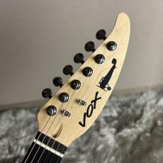 VOX APC-1 (modify) 【現物画像】_6