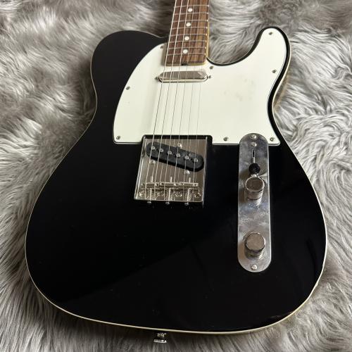 Provision × Squier by Fender Telecaster Custom 【現物画像】