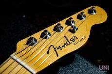 Fender American Elite Telecaster Thinline / 2016_4