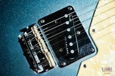 Fender American Elite Telecaster Thinline / 2016_7