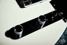 Fender American Special Telecaster / 2010_5