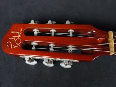 Godin Multiac Spectrum SA Natural 2017_3