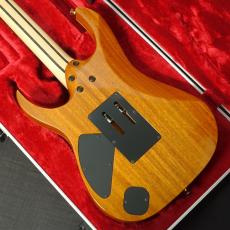 Ibanez RG8570EM-NT_6