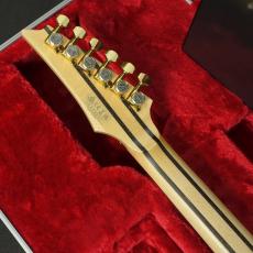 Ibanez RG8570EM-NT_10