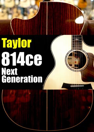 Taylor 814ce Next Generation  S/N 1206106080【ABCトリートメント】