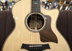 Taylor 814ce Next Generation  S/N 1206106080【ABCトリートメント】_4