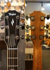 Taylor 814ce Next Generation  S/N 1206106080【ABCトリートメント】_10