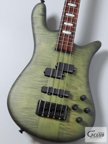 Spector EURO 4 LX HTMM / Haunted Moss Matte【重量3.94kg】