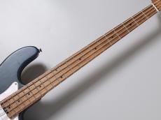 Bacchus WL4-STD/RSM / BLU-S【4.10kg】_6