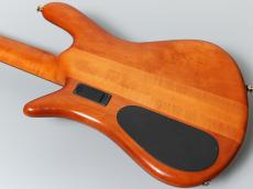 Spector Japan Exclusive Series EURO 5 LX / Lacquer AGED Tint Natural【重量4.14kg】_8