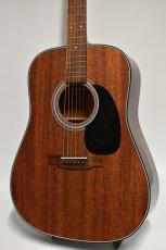 Martin D-19 【2023年製 美品中古】