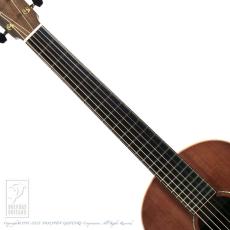 Lowden WL-35 IR/SRW_5