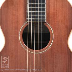 Lowden WL-35 IR/SRW_11