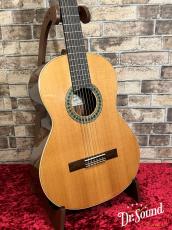 Paco Castillo パコ・カスティージョ Model:201 杉・サペリ 7/8【新品】_3