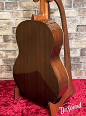 Paco Castillo パコ・カスティージョ Model:201 杉・サペリ 7/8【新品】_4