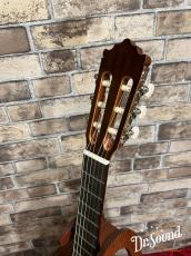 Paco Castillo パコ・カスティージョ Model:201 杉・サペリ 7/8【新品】_7