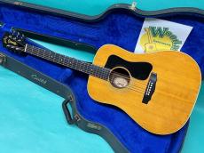 Guild D-50 NT