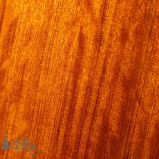 Iwaneko Guitars Type-MS Simple Style German Spruce Top_10
