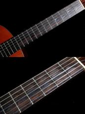 ASTURIAS 【USED】AST50 杉・ローズウッド【圧倒的貫禄】【美音個体】【日本製】【池袋店在庫品】_9