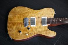 Kigoshi Custom Guitar KT-Pro AJM　2025年製_3