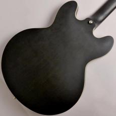 Epiphone SHERATON II PRO Ebony #20111527768【Epiphpne】【送料無料】_5