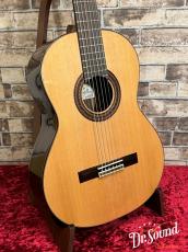 Paco Castillo パコ・カスティージョ Model:203 杉・ローズウッド 7/8【新品】 _3