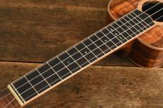 四弦舎 Little Concert ML365_7
