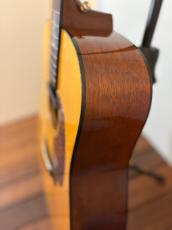 Martin D-18GE_11