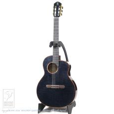aNueNue aNN-LN77E (Nylon Strings)_2