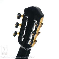 aNueNue aNN-LN77E (Nylon Strings)_8