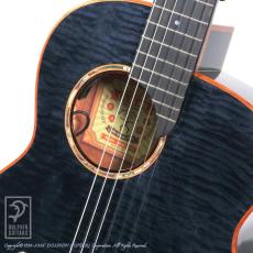 aNueNue aNN-LN77E (Nylon Strings)_11