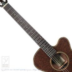 Crews Maniac Sound EG-1500C Limited (Burl Mahogany) (Natural)_5