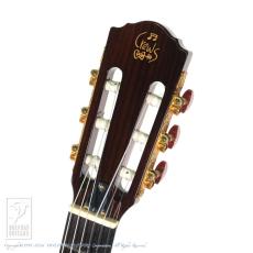 Crews Maniac Sound EG-1500C Limited (Burl Mahogany) (Natural)_7