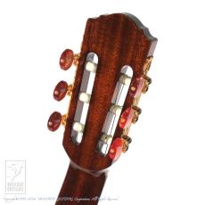Crews Maniac Sound EG-1500C Limited (Burl Mahogany) (Natural)_8
