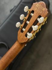 Ibanez TOD100N ~Natural High Gloss~ #260509070【2.41kg】_8