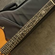 Ibanez TOD100N ~Natural High Gloss~ #260509029【2.48kg】_7