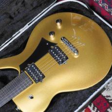 Parker PM-20G Gold Top_3