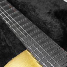 Parker PM-20G Gold Top_6